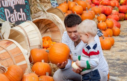 pumpkin-patch-activities