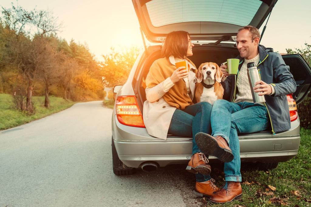 36 Things Everyone Needs in Her Car for a Road Trip