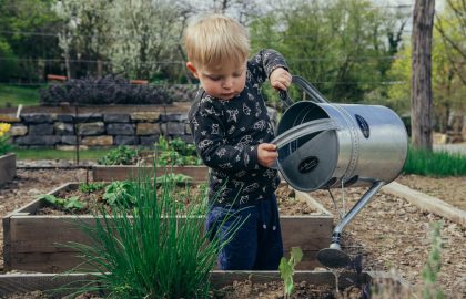 wellness-activities-for-kids