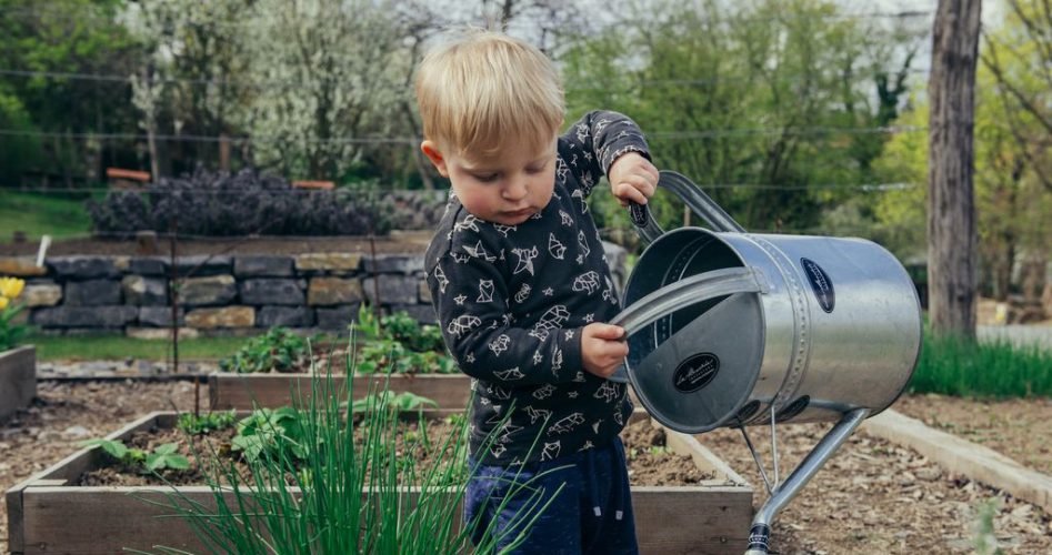 wellness-activities-for-kids